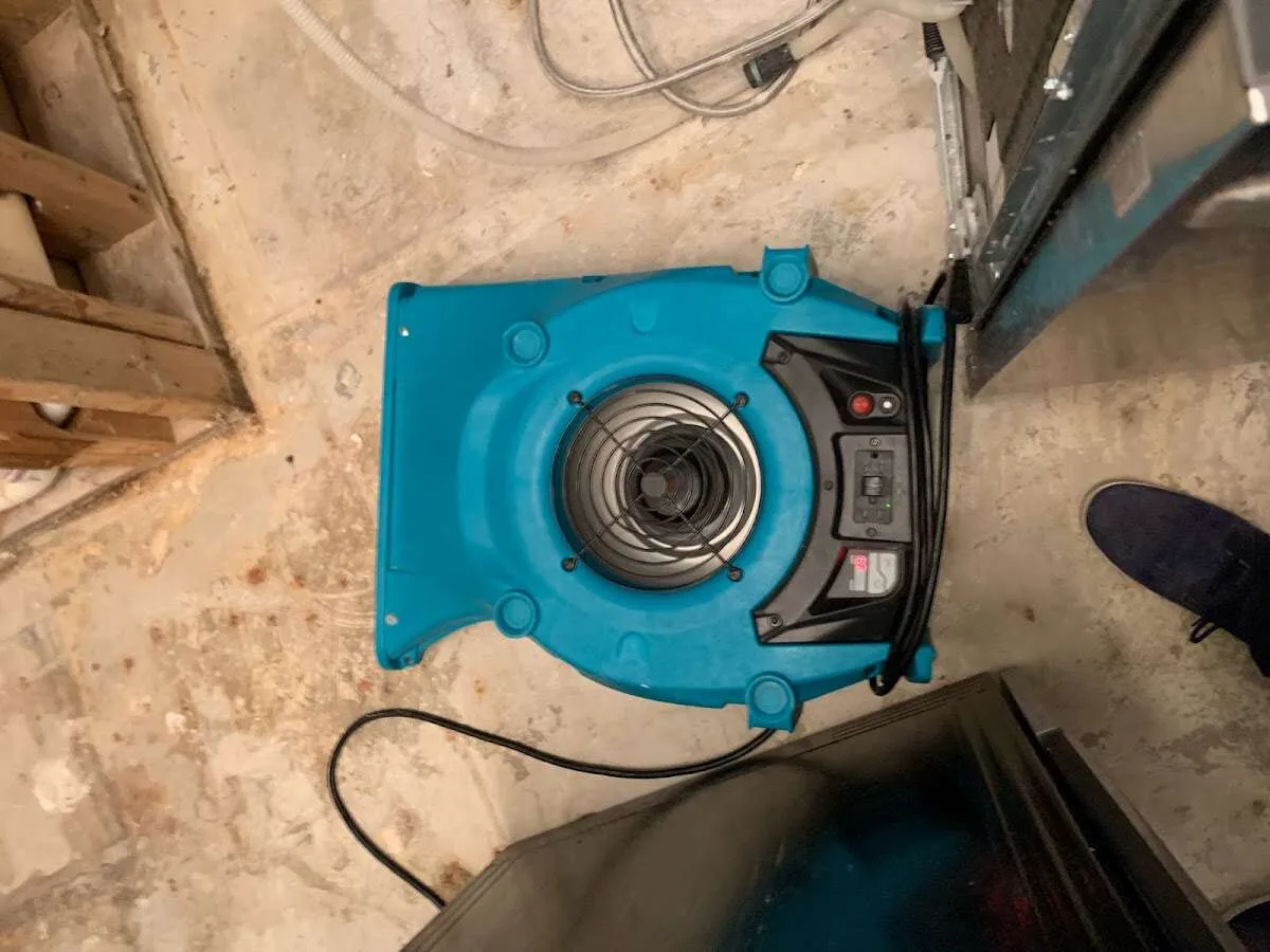 Air mover drying equipment for Mold Remediation & Removal in Wollochet